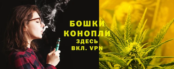 гашик Белокуриха