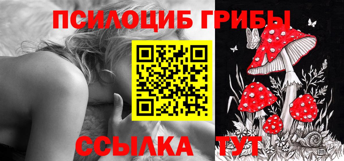 Ульяновск  Галлюциногенные грибы мицелий  Вход с VPN  Галлюциногенные грибы Psilocybe 