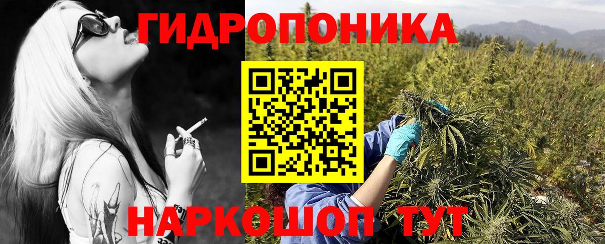 Бошки Шишки конопля Ульяновск